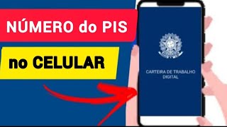 Como SABER o NÚMERO do PIS no CELULAR PIS Pelo CPF Rápido e Fácil [upl. by Jarlath]