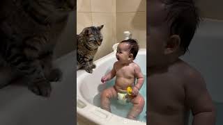 Cat playing with baby in the Tub [upl. by Helbonna]