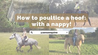 How to poultice a horse’s hoof  with a nappy  diaper [upl. by Ardried]