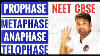 ProphaseMetaphaseAnaphaseTelophase  Meiosis part2  Cell cycle Cell division  Vinay Biology [upl. by Samale309]