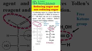 Reducing and Nonreducing sugarshorts shortsvideo youtubeshorts science education knowledge [upl. by Nonnelg]