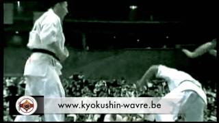 Kyokushin karate highlights part II [upl. by Olegnaid964]