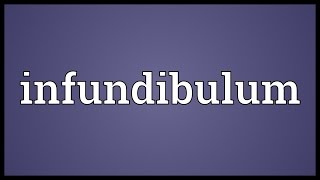 Infundibulum Meaning [upl. by Broderick470]