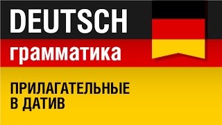 Прилагательные в датив Adjektive im Dativ Немецкая грамматика Урок 1431 Елена Шипилова [upl. by Noinatrad586]