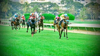 ROONG KAEW wins  12102024  Race 9  Country Bred Division 2 [upl. by Kyl870]