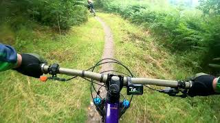 Mabie Forest E Bikes Rule 2024 [upl. by Catherina]