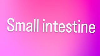 small intestine and their functions viral trending youtube [upl. by Berger915]