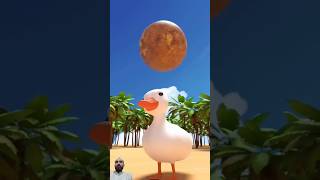 Cute duckling wow fantastic birds animation duck cartoon funny littleduck funnymemes little [upl. by Fonsie]