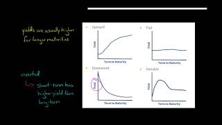 Shape of the Yield Curve [upl. by Llorrad]