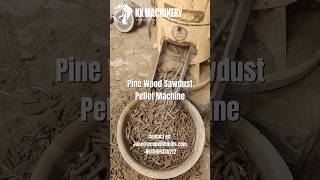 Pine wood sawdust pellet machine  biomass pellet mill for pine oak rice straw wheat stalk bagasse [upl. by Sigismond]