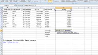 Using Excels Subtotal Function with Filters in Excel [upl. by Kyle526]