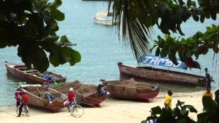 Zanzibar Song of Njiwa by The Peter Ulrich Collaboration [upl. by Nwahs]