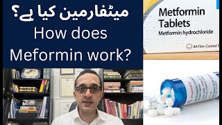 What is Metformin Medicine  Metformin medication kaisay kam karti ha [upl. by Ytteb391]