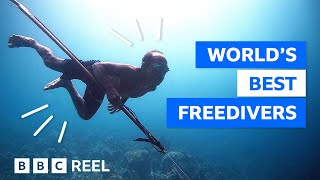 The tribe that evolved to stay underwater longer – BBC REEL [upl. by Gerfen]