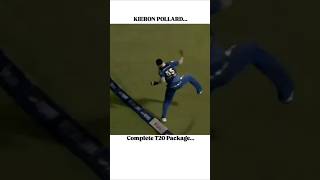 World cricket best catch cricket dangerous catch bestfielder catching classiccatch cricketing [upl. by Hersch961]