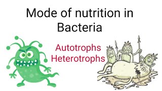 Mode of Nutrition in Bacteria in hindi [upl. by Mcgannon781]