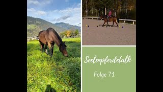 Seelenpferdetalk71  Perfektionismus beim Reiten [upl. by Ardnu324]