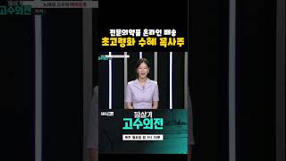 초고령화 수혜 꼭사주 온라인 필수의약품 배송 준비 중20240819 [upl. by Atisor]