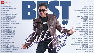 Best of Sukhwinder Singh 🎵 3 Hours NonStop 🎵 Udi Udi Jaye Tuu Jungle Mein Kaand Rabba amp More [upl. by Lepper]