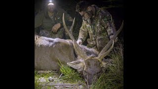 Sambar BackPack Hunt Aug 2016 in Victorian Alpine National Park by MountainMan Hunting Films [upl. by Thayne186]