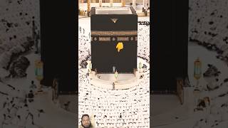 Masjid Al Haram salat namaz namaj viralnamaj sodesfarm viralvideo viralshorts trending [upl. by Donnie944]