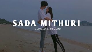 Sada Mithuri Slowed and reverb song 2024Cbremix1 [upl. by Oiled]