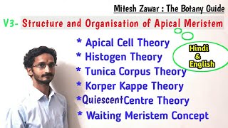 Structure and Organisation of Apical Meristem  Theories to explain Organisation of SAM amp RAM [upl. by Blight708]