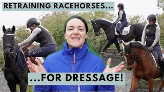 How to Retrain a Racehorse for dressage  Riding With Rhi Equestrian YouTuber [upl. by Tnaryb]