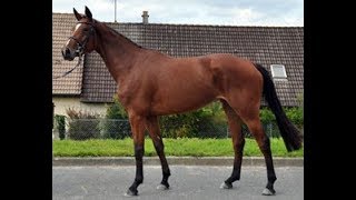 EXTRA DANCE SEMILLY  3ans  3YO [upl. by Loveridge]