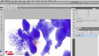 Photoshop CS5  How to Create Your Own Photoshop Brushes [upl. by Ahselef]