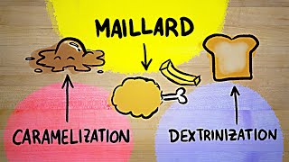 I FINALLY understand the Maillard reaction [upl. by Manaker]