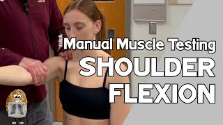 MMT Shoulder Flexion Manual Muscle Test [upl. by Walke]