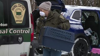 Absolutely horrific  Animal shelter workers shocked by abused animals in Scranton [upl. by Ennovyhc]