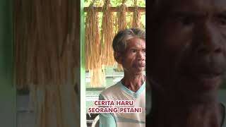 GAWAT KENTA NGOMELIN TARGET BEDAH RUMAH KARENA INI shortviral bedahrumah [upl. by Murat]