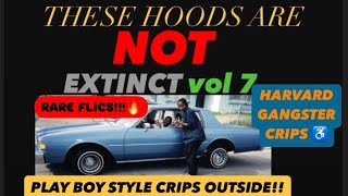 THESE HOODS ARE NOT EXTINCT VOLUME 7 [upl. by Milt]