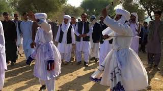 Buzdar baloch marriage culture Groom enterance in ceremony [upl. by Nayllij]