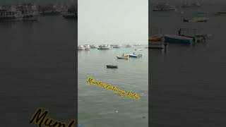 Mumbai Gateway India ferry ghat [upl. by Lisan]