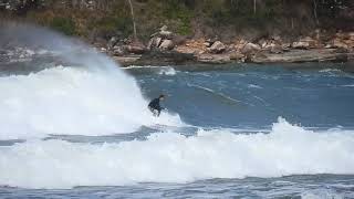 Big South  Chunks EVERYWHERE  Umina Beach Surf [upl. by Rotberg957]