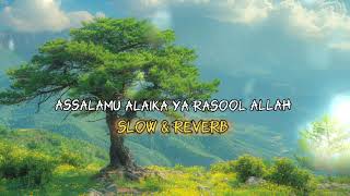 Assalamu alaika Ya Rasool Allah Slowed amp Reverb Official Naat [upl. by Inalak]