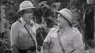 Africa Screams Abbott amp Costello  1949 Adventure Comedy  Movie Subtitles [upl. by Sclar]