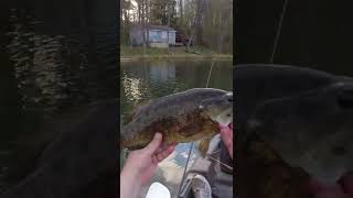 Whopper on the Plopper [upl. by Dahraf]