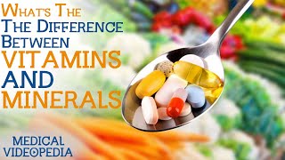 The Difference Between Vitamins amp Minerals [upl. by Schug]