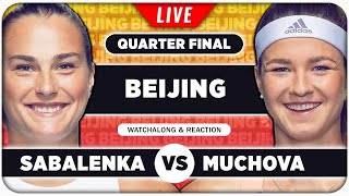 SABALENKA vs MUCHOVA • WTA Beijing 2024 QF • LIVE Tennis Watchalong Stream [upl. by Thin297]