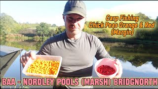 Carp Fishing  BAA Nordley Pools Marsh  Bridgnorth Air Fried Chick Peas in curry flavour 😀😉👍 [upl. by Vano]