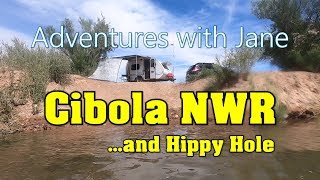 Adventures with Jane  Cibola NWR and Hippy Hole [upl. by Liddy]