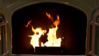 Enviro Empress Pellet Stove Burn Video [upl. by Gnek]