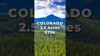 MOUNTAIN LAND for SALE in COLORADO with Cabin • LANDIO [upl. by Eelasor]