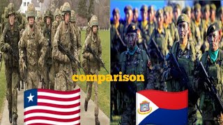 Philippine vs USA Military  Which Army Reigns Supreme 2024 [upl. by Youngman]