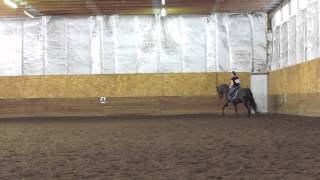 Dressage  Level 2 Test 1 [upl. by Romonda]