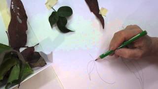 Painting Curved leaves in watercolour tip 171 [upl. by Cilo]